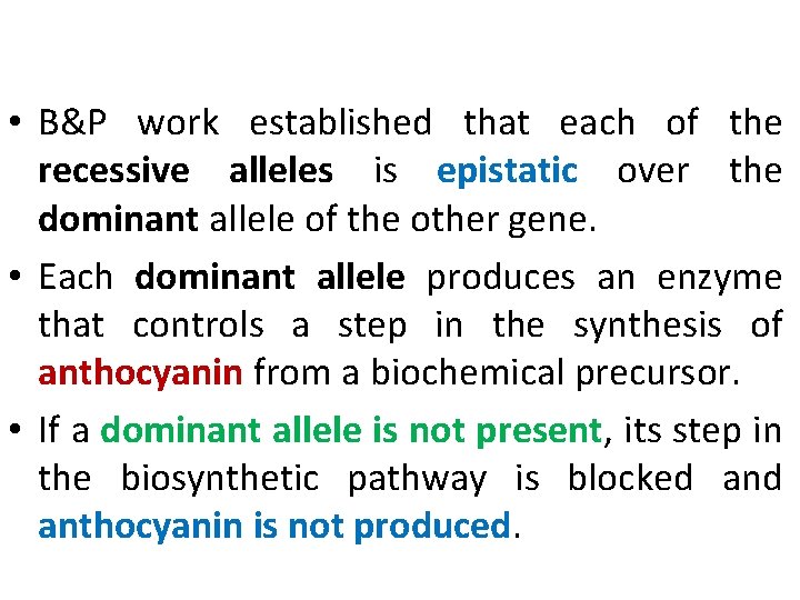  • B&P work established that each of the recessive alleles is epistatic over