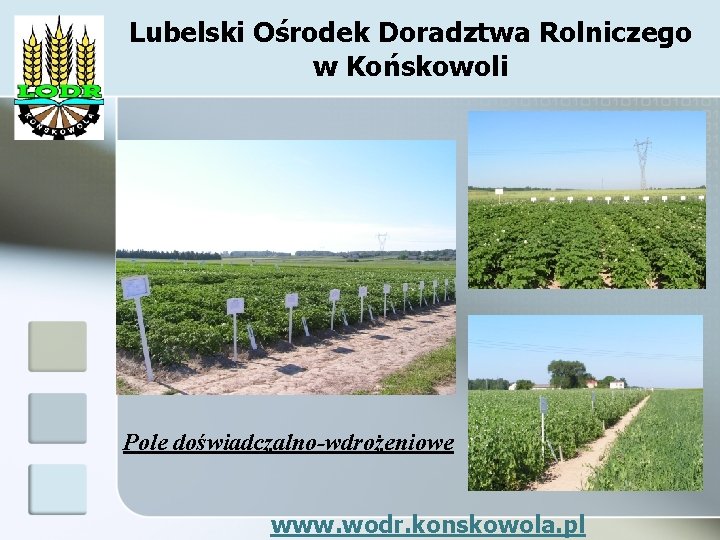 Lubelski Ośrodek Doradztwa Rolniczego w Końskowoli Pole doświadczalno-wdrożeniowe www. wodr. konskowola. pl 