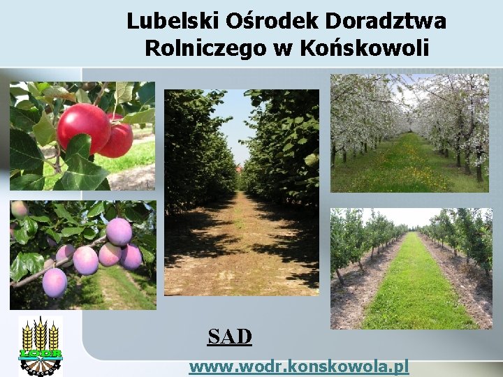 Lubelski Ośrodek Doradztwa Rolniczego w Końskowoli SAD www. wodr. konskowola. pl 