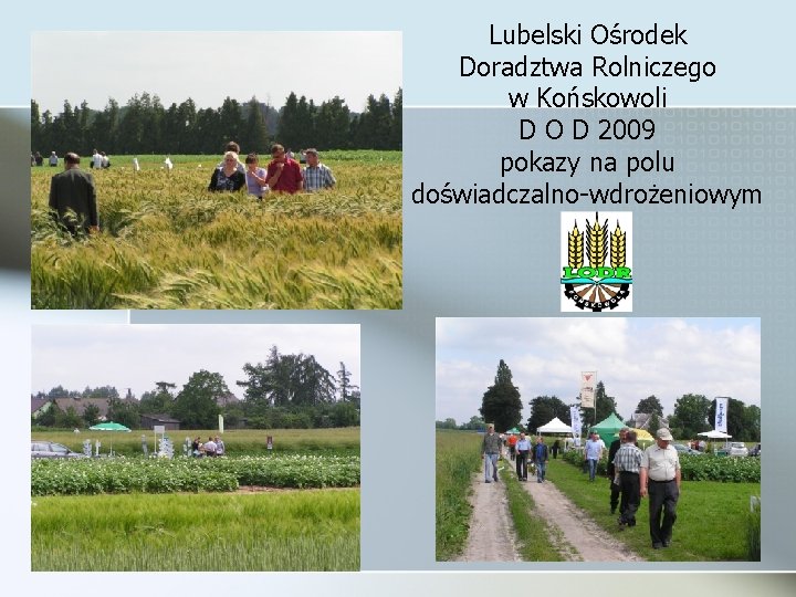 Lubelski Ośrodek Doradztwa Rolniczego w Końskowoli D O D 2009 pokazy na polu doświadczalno-wdrożeniowym