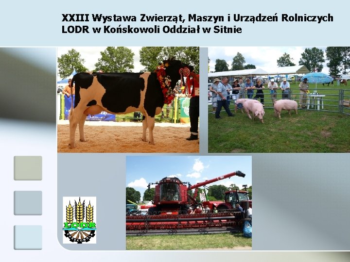 XXIII Wystawa Zwierząt, Maszyn i Urządzeń Rolniczych LODR w Końskowoli Oddział w Sitnie 