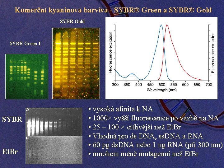 Komerční kyaninová barviva - SYBR® Green a SYBR® Gold SYBR Green I SYBR Et.