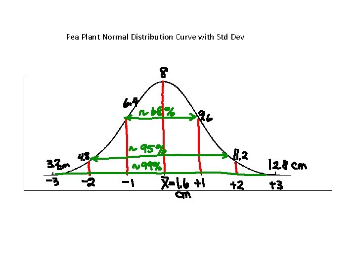 Pea Plant Normal Distribution Curve with Std Dev 