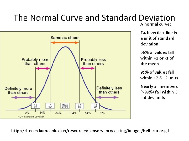 The Normal Curve and Standard Deviation A normal curve: Each vertical line is a