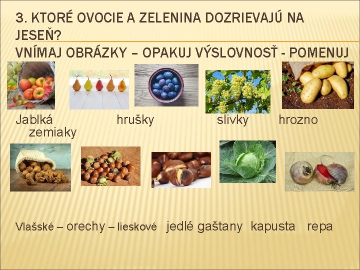 3. KTORÉ OVOCIE A ZELENINA DOZRIEVAJÚ NA JESEŇ? VNÍMAJ OBRÁZKY – OPAKUJ VÝSLOVNOSŤ -