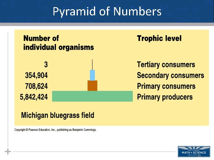 Pyramid of Numbers 10 