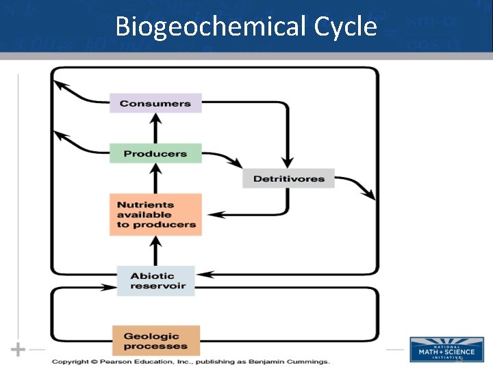 Biogeochemical Cycle 13 