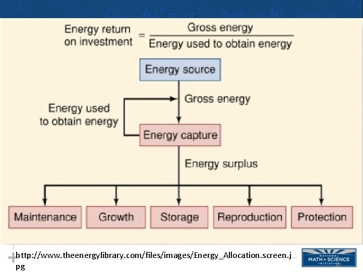 http: //www. theenergylibrary. com/files/images/Energy_Allocation. screen. j pg 20 