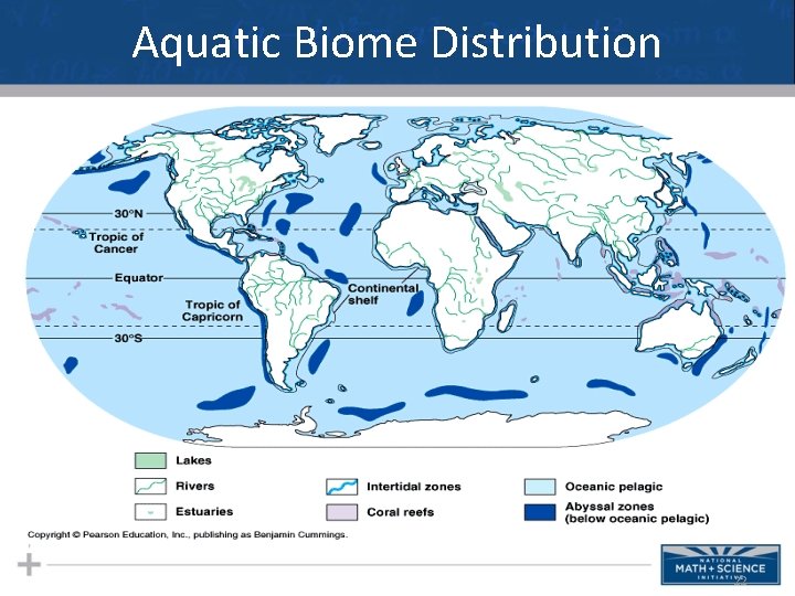 Aquatic Biome Distribution 22 