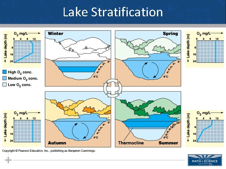 Lake Stratification 23 