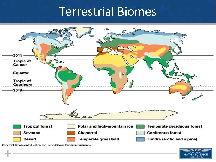 Terrestrial Biomes 28 