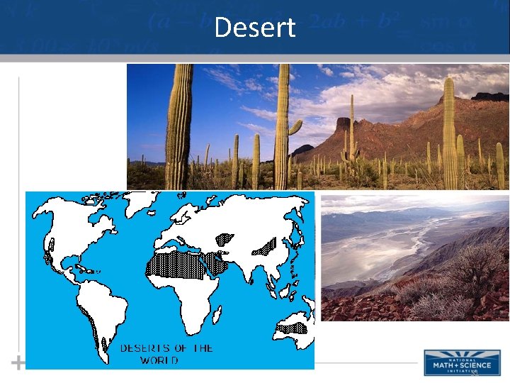 Desert 31 