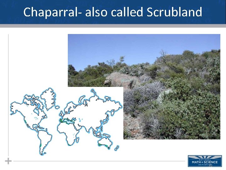 Chaparral- also called Scrubland 32 