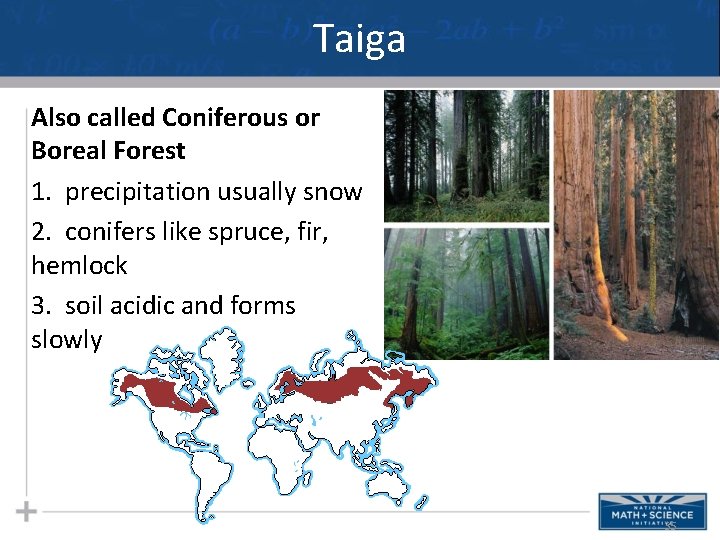 Taiga Also called Coniferous or Boreal Forest 1. precipitation usually snow 2. conifers like