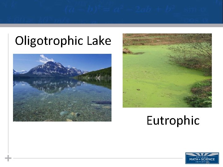 Oligotrophic Lake Eutrophic 39 