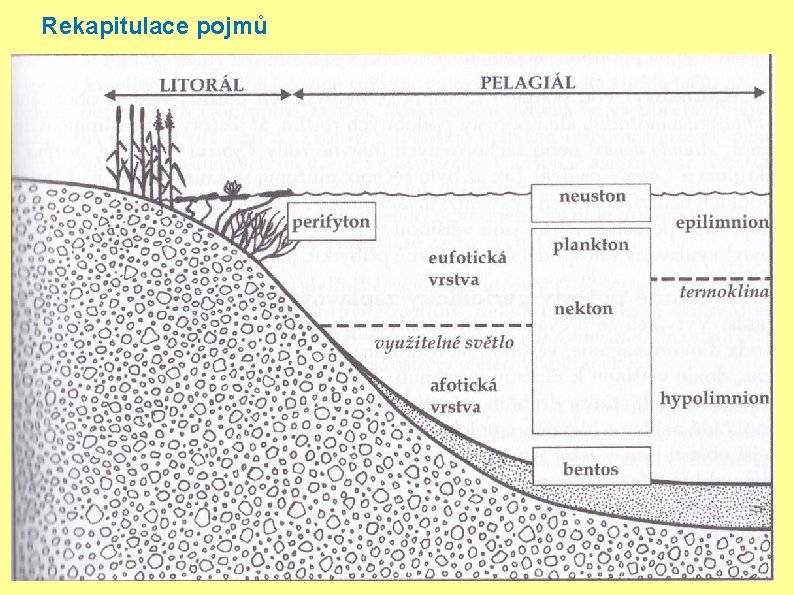 Rekapitulace pojmů 