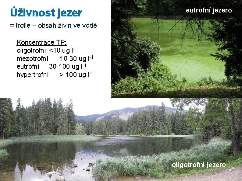 Úživnost jezer eutrofní jezero = trofie – obsah živin ve vodě Koncentrace TP: oligotrofní