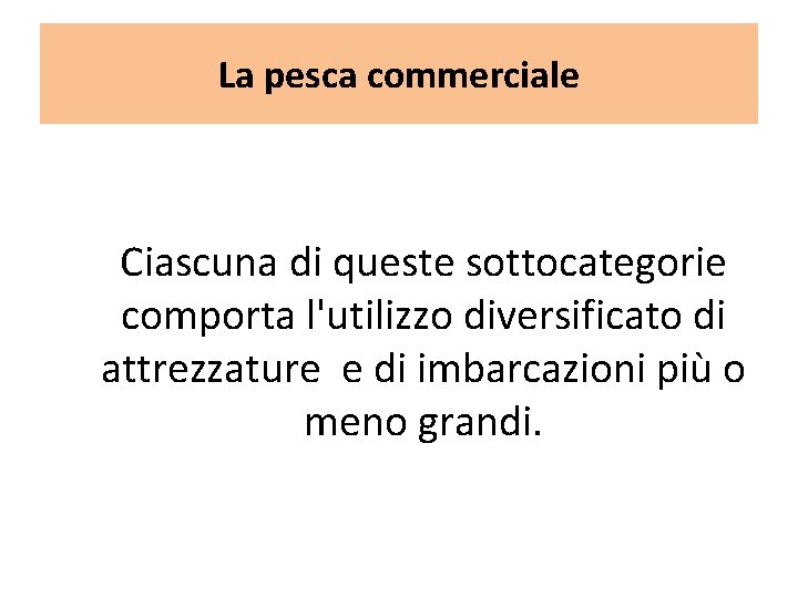 La pesca commerciale Ciascuna di queste sottocategorie comporta l'utilizzo diversificato di attrezzature e di