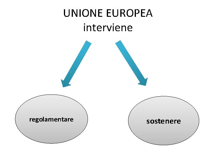 UNIONE EUROPEA interviene regolamentare sostenere 