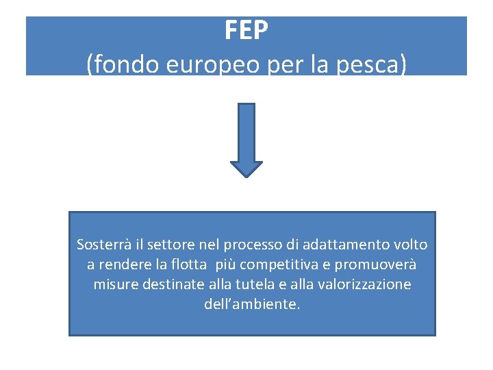 FEP (fondo europeo per la pesca) Sosterrà il settore nel processo di adattamento volto