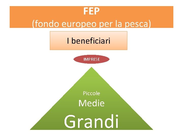 FEP (fondo europeo per la pesca) I beneficiari IMPRESE Piccole Medie Grandi 