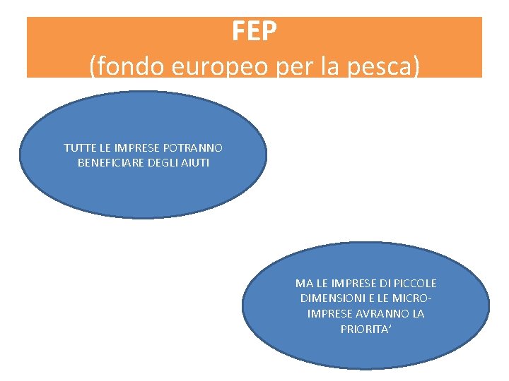 FEP (fondo europeo per la pesca) TUTTE LE IMPRESE POTRANNO BENEFICIARE DEGLI AIUTI MA