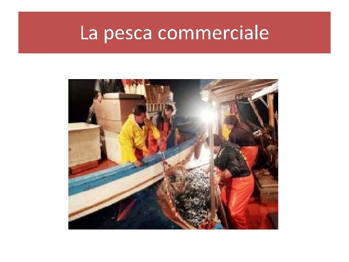 La pesca commerciale 