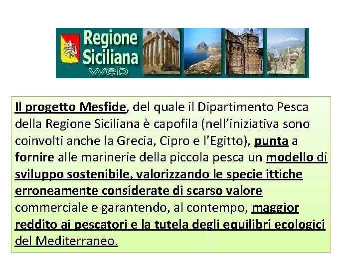 Il progetto Mesfide, del quale il Dipartimento Pesca della Regione Siciliana è capofila (nell’iniziativa