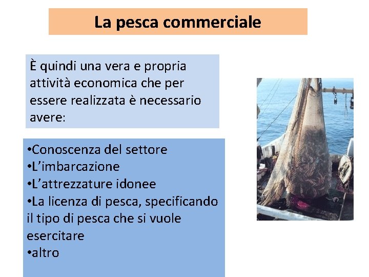 La pesca commerciale È quindi una vera e propria attività economica che per essere