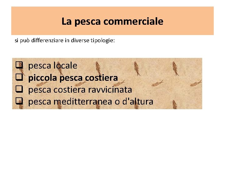 La pesca commerciale si può differenziare in diverse tipologie: q q pesca locale piccola