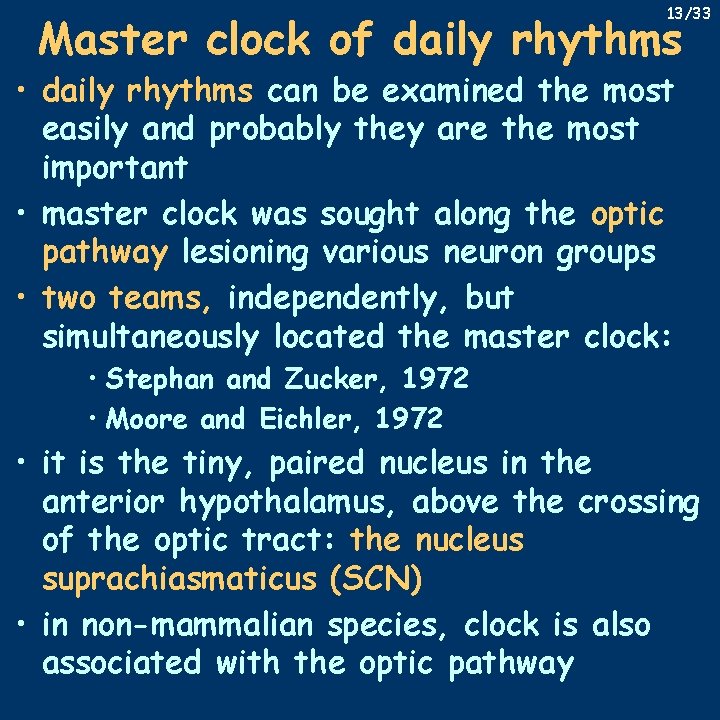 13/33 Master clock of daily rhythms • daily rhythms can be examined the most