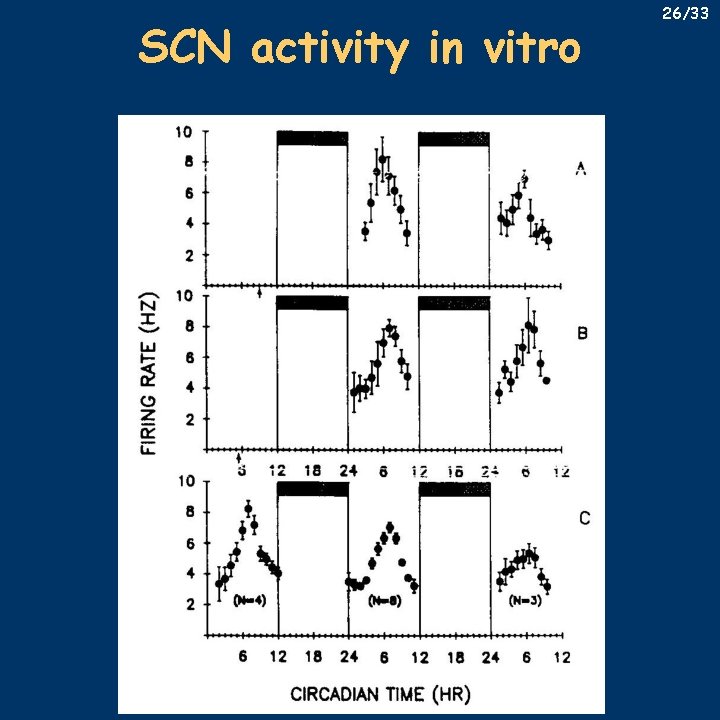 SCN activity in vitro 26/33 