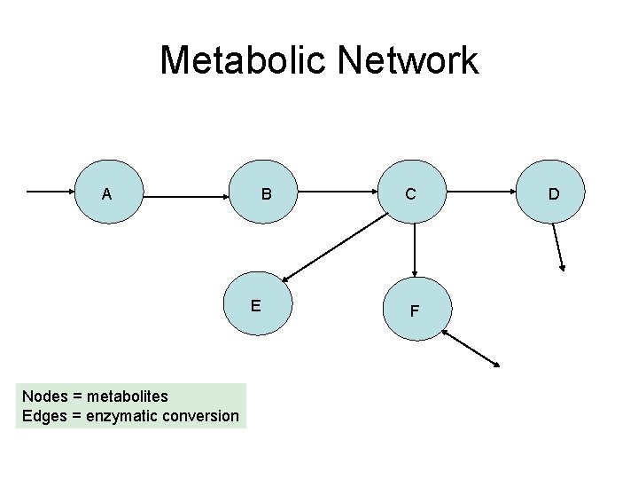 Metabolic Network A B E Nodes = metabolites Edges = enzymatic conversion C F