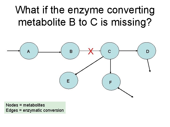 What if the enzyme converting metabolite B to C is missing? A B E