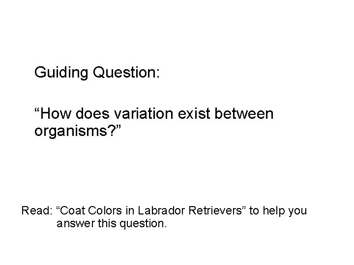 Guiding Question: “How does variation exist between organisms? ” Read: “Coat Colors in Labrador