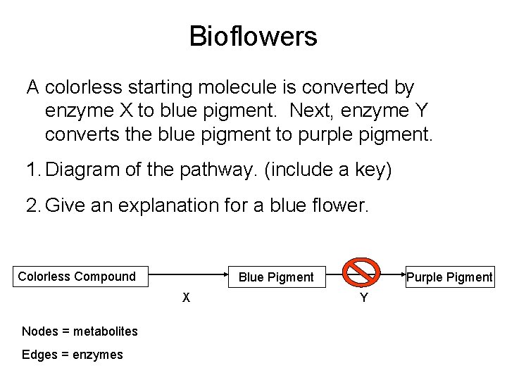 Bioflowers A colorless starting molecule is converted by enzyme X to blue pigment. Next,