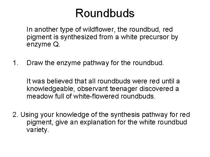 Roundbuds In another type of wildflower, the roundbud, red pigment is synthesized from a