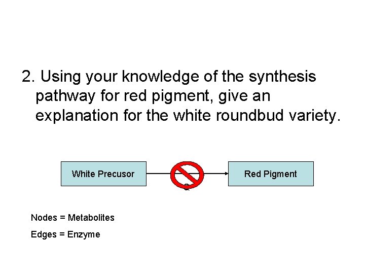 2. Using your knowledge of the synthesis pathway for red pigment, give an explanation