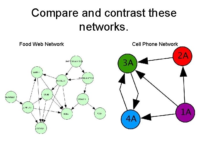 Compare and contrast these networks. Food Web Network Cell Phone Network 