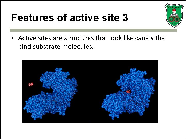 Features of active site 3 • Active sites are structures that look like canals