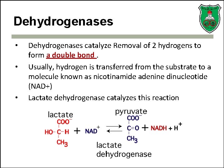 Dehydrogenases • • • Dehydrogenases catalyze Removal of 2 hydrogens to form a double