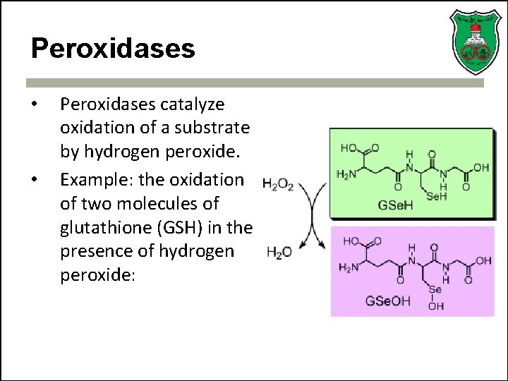 Peroxidases • • Peroxidases catalyze oxidation of a substrate by hydrogen peroxide. Example: the