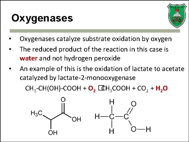 Oxygenases • • • Oxygenases catalyze substrate oxidation by oxygen The reduced product of