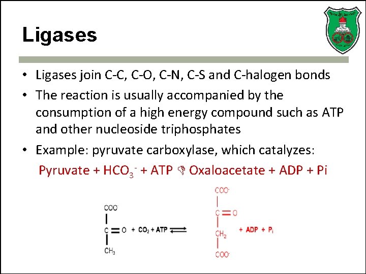 Ligases • Ligases join C-C, C-O, C-N, C-S and C-halogen bonds • The reaction