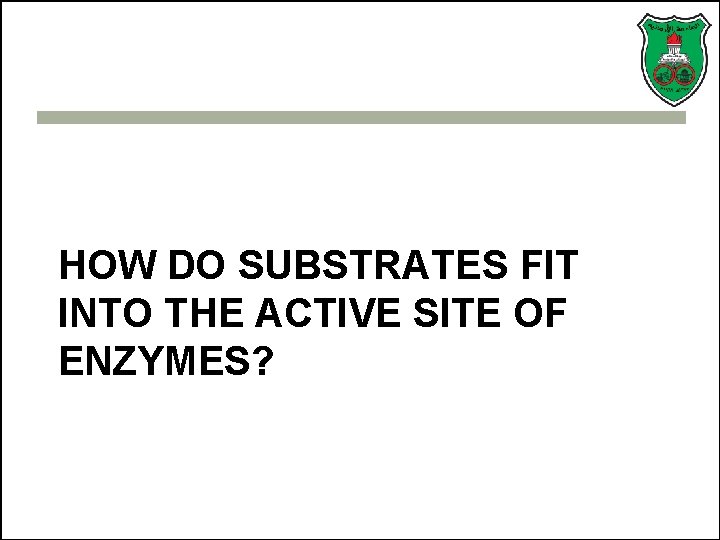 HOW DO SUBSTRATES FIT INTO THE ACTIVE SITE OF ENZYMES? 
