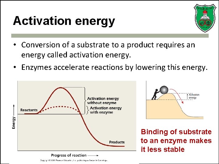 Activation energy • Conversion of a substrate to a product requires an energy called