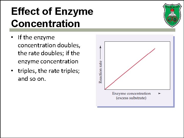 Effect of Enzyme Concentration • If the enzyme concentration doubles, the rate doubles; if