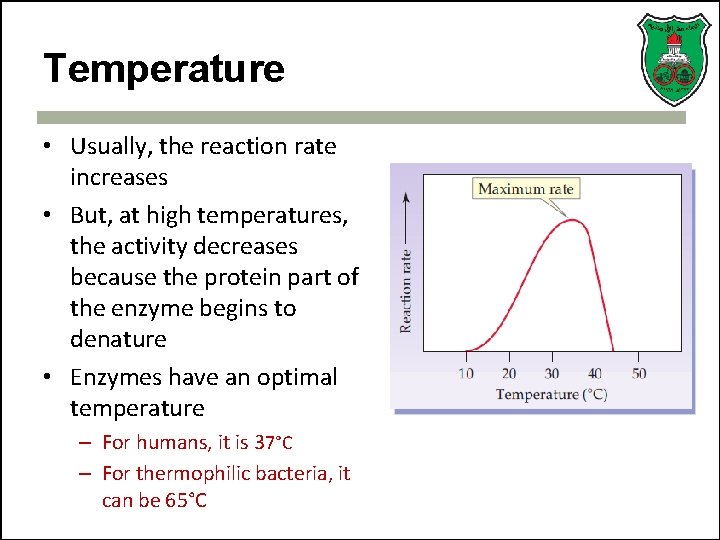 Temperature • Usually, the reaction rate increases • But, at high temperatures, the activity