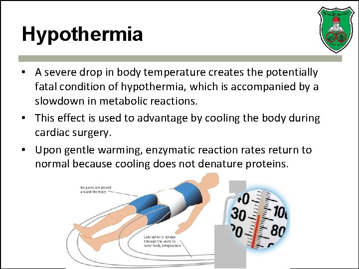 Hypothermia • A severe drop in body temperature creates the potentially fatal condition of