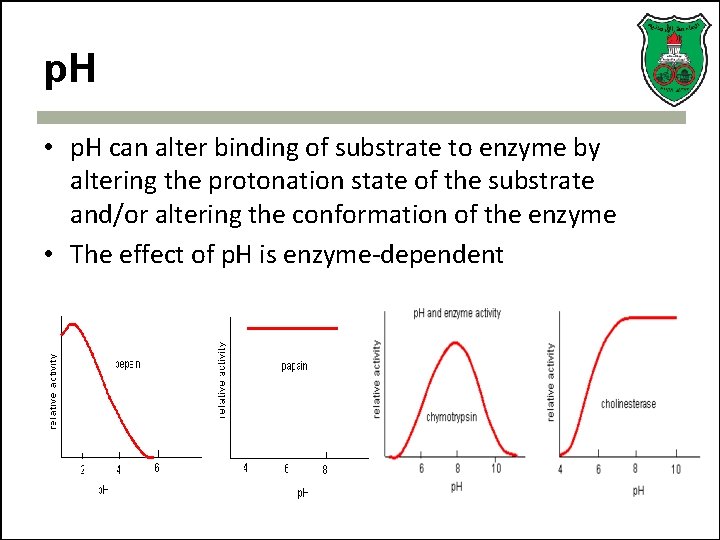 p. H • p. H can alter binding of substrate to enzyme by altering